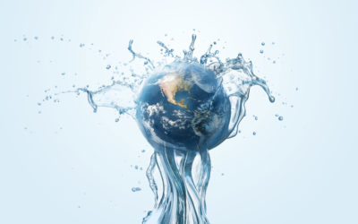 Reforzamos nuestro Compromiso con Puerto Rico, el Medio Ambiente y el Futuro del Planeta Tierra