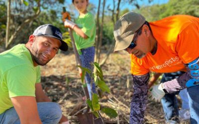 Voluntarios de Metropistas siembran 500 árboles