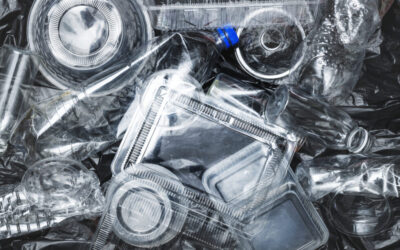 Reciclar: El camino que conduce a la sostenibilidad
