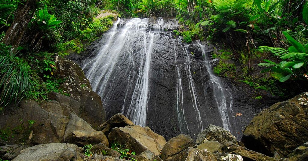 Portada-El-Yunque-Rio-Grande-Kilometro-a-Kilometro-con-Metropistas
